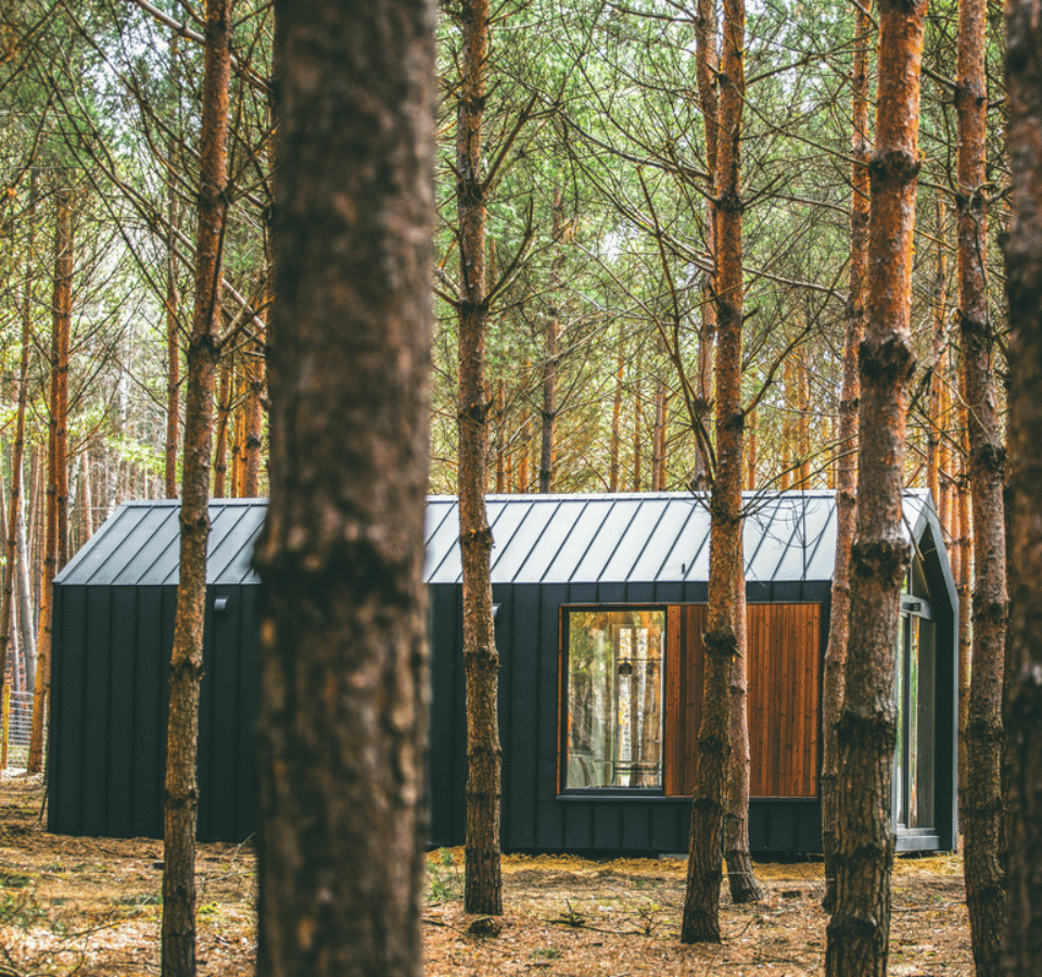 House in the woods, surrounded by nature, with brown soil and trees.