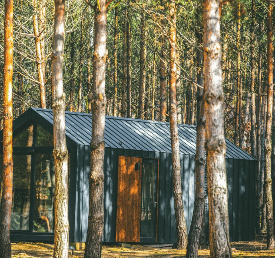 Tiny house in the woods, with brown earth and trees