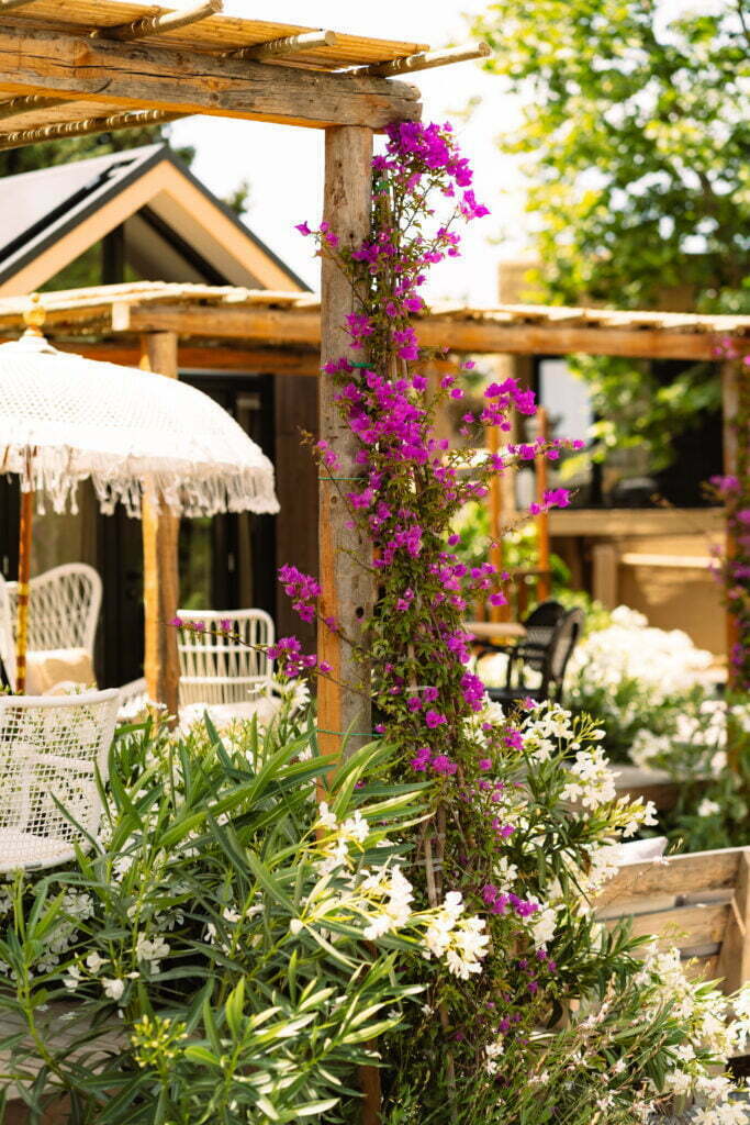 ibiza garden, flowers, wooden terrace